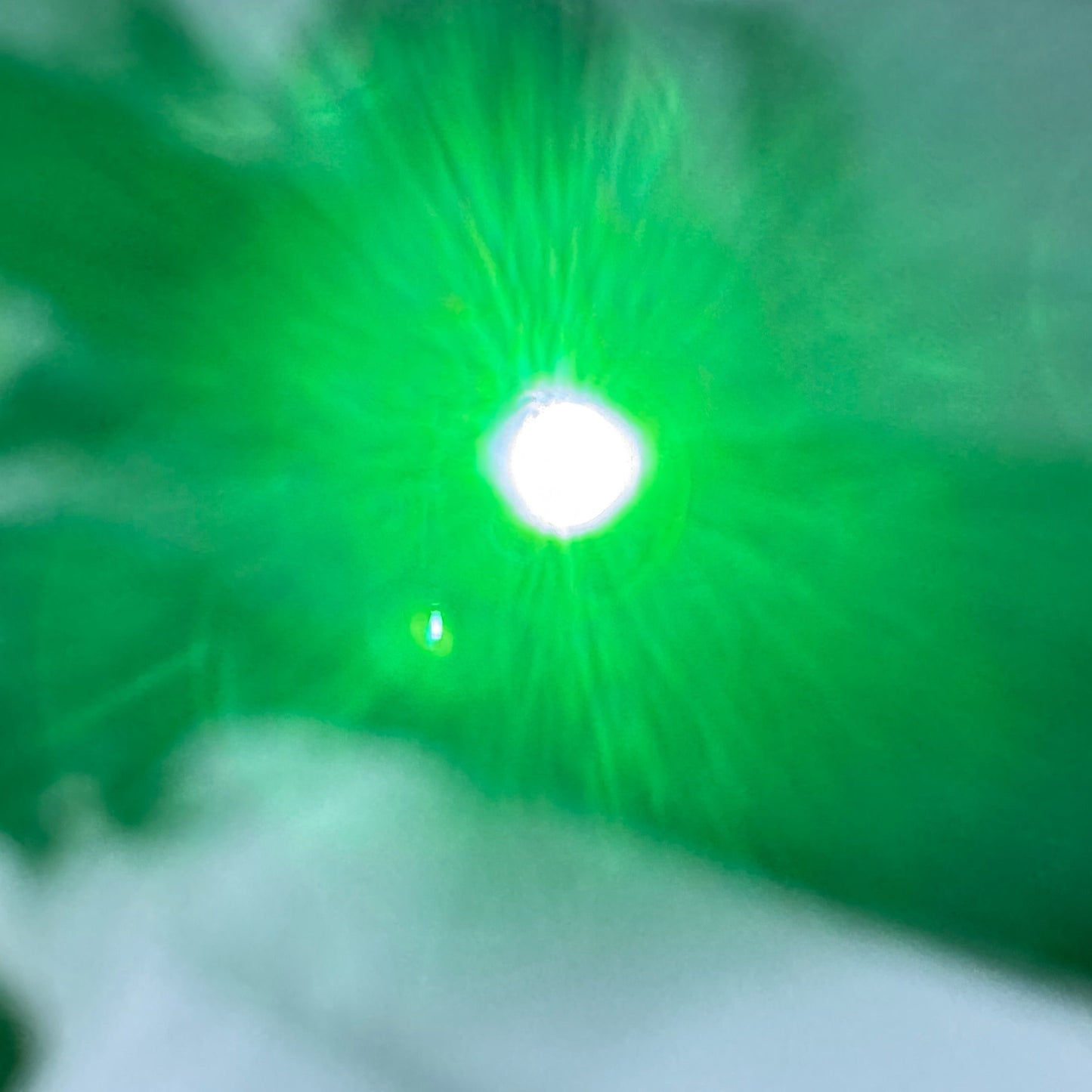 anchorman.nz Factory-Fit Navigation Lights for Sea-Doo Windscreen